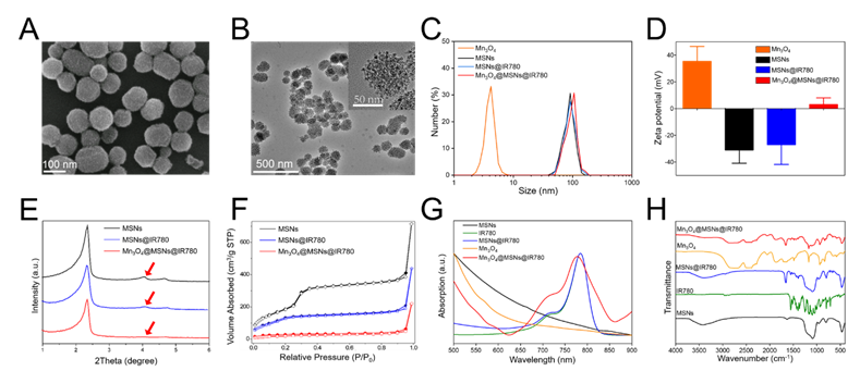 Theranostics Image