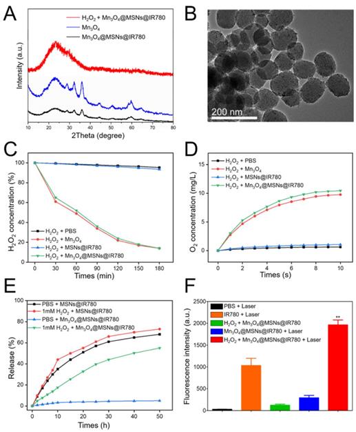 Theranostics Image