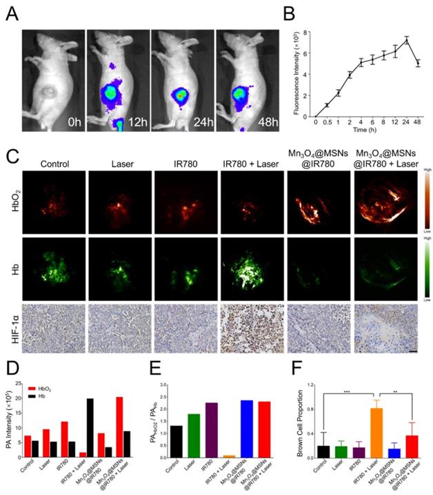 Theranostics Image