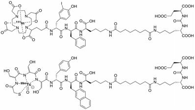 Theranostics Image