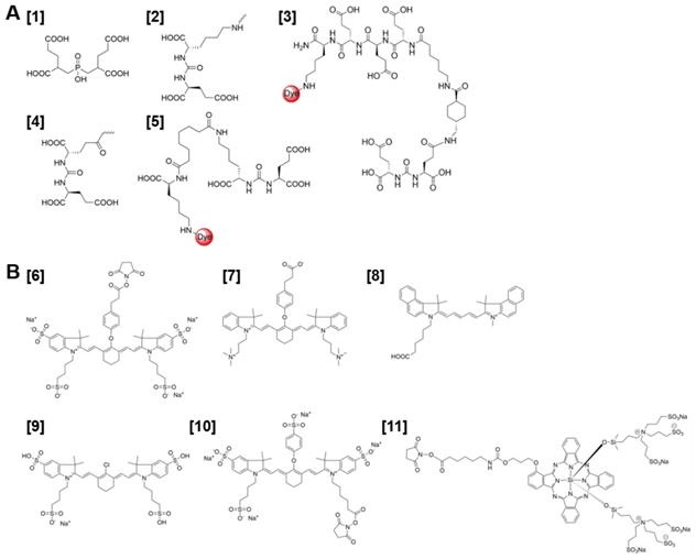 Theranostics Image