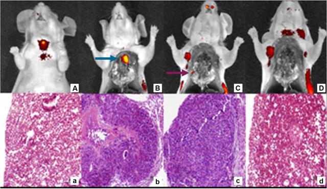 Theranostics Image