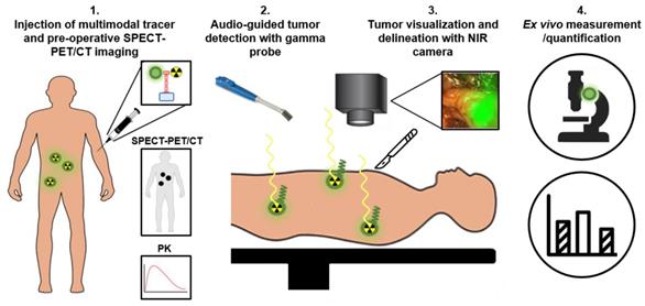 Theranostics Image