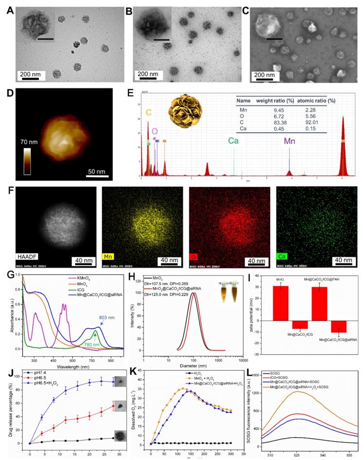 Theranostics Image