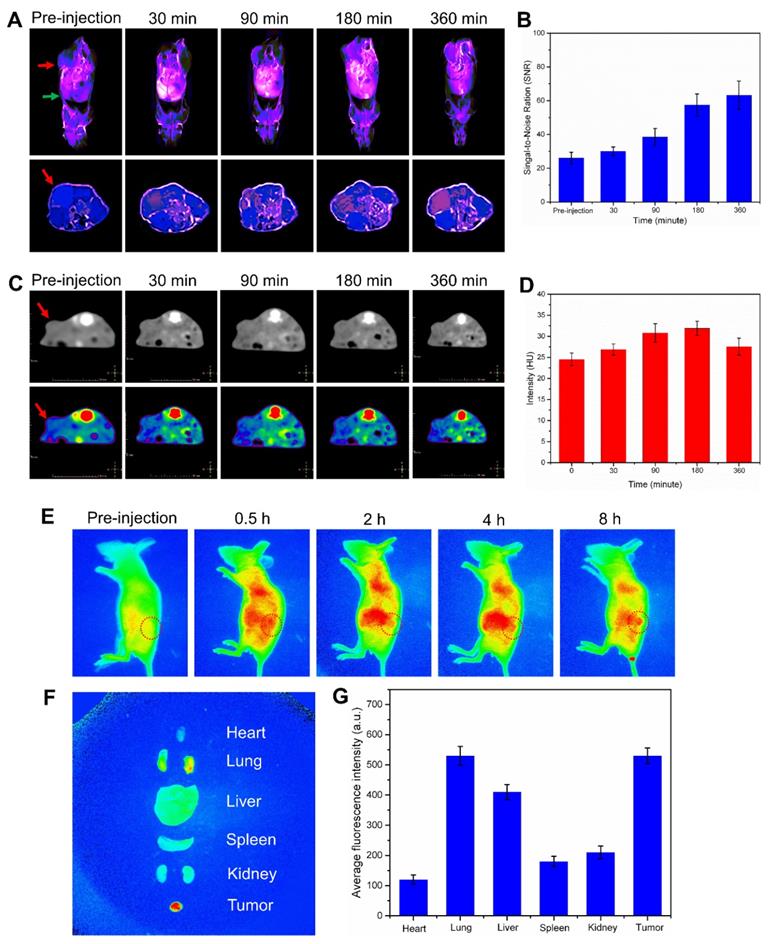 Theranostics Image