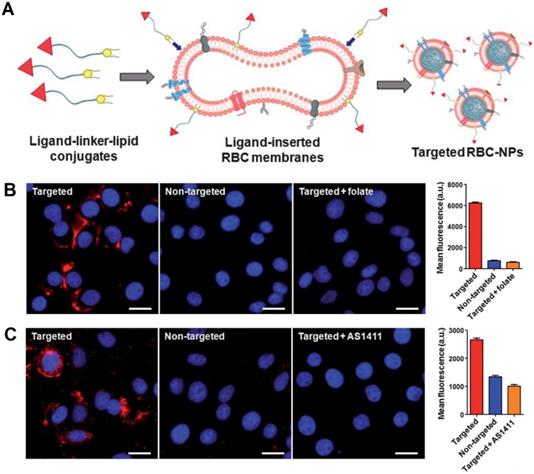 Theranostics Image