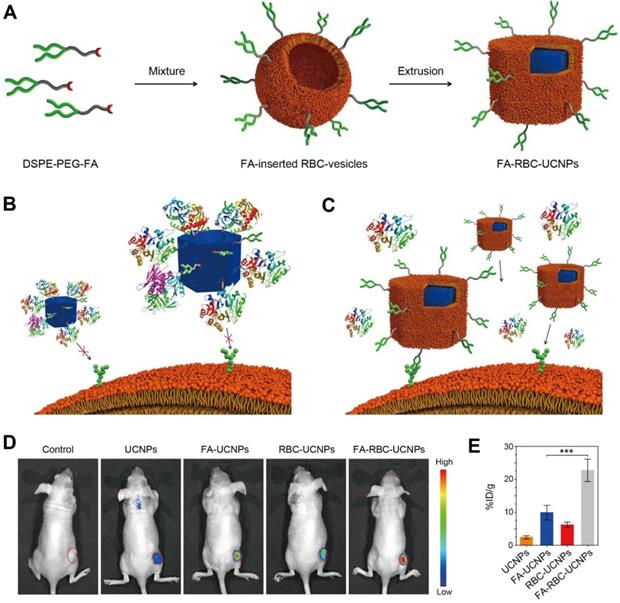 Theranostics Image