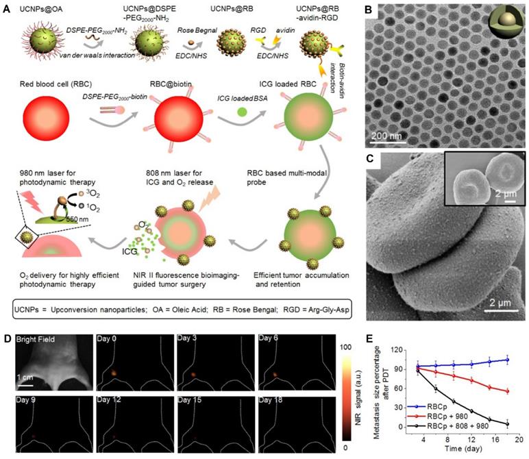 Theranostics Image