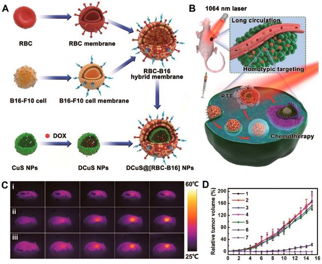 Theranostics Image