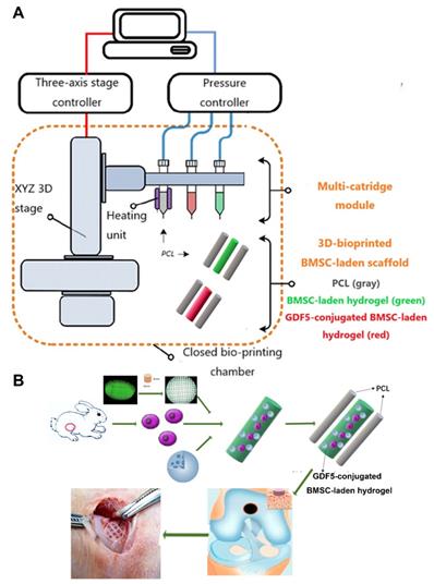 Theranostics Image