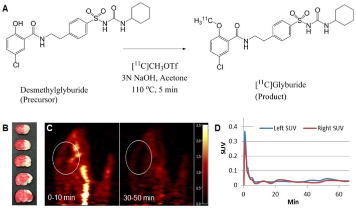 Theranostics Image