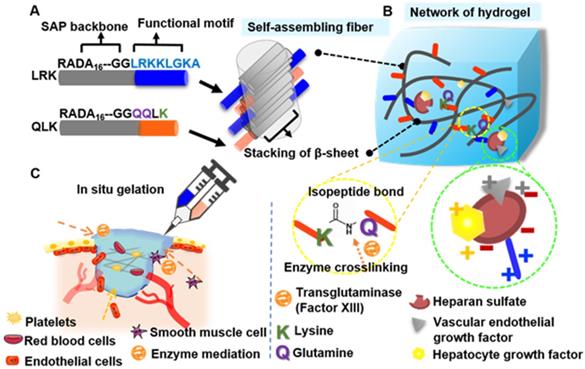 Theranostics Image