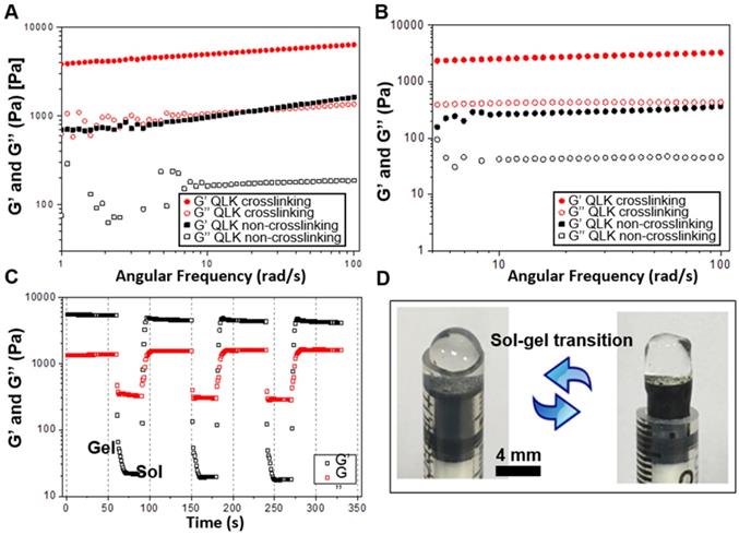 Theranostics Image