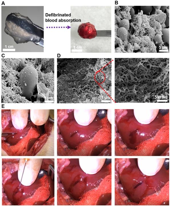 Theranostics Image