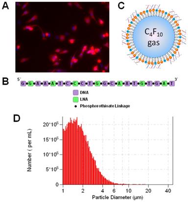 Theranostics Image