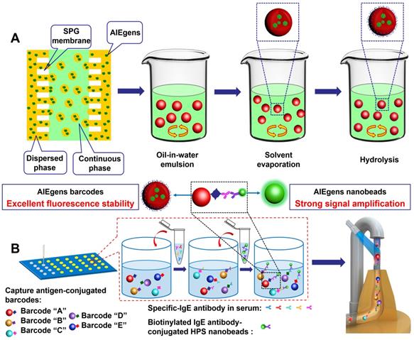 Theranostics Image