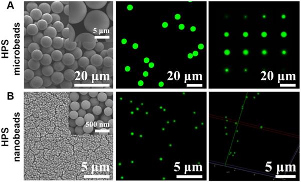 Theranostics Image