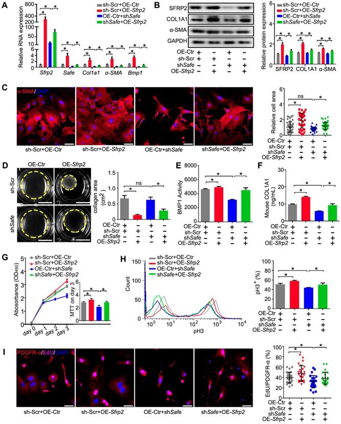 Theranostics Image