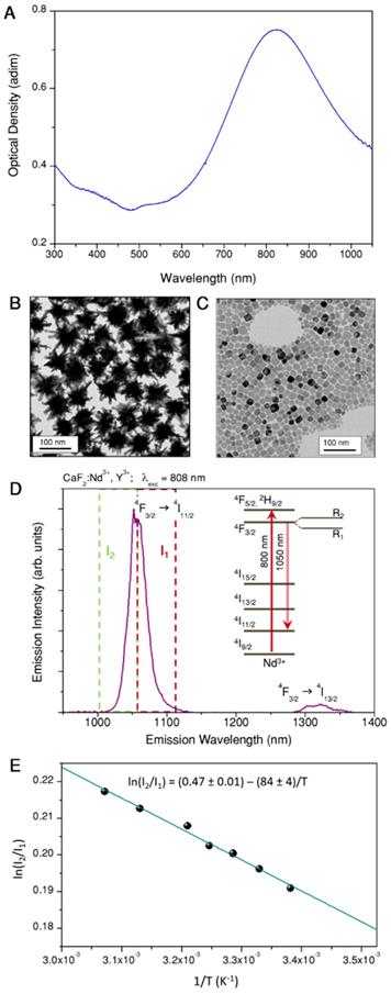 Theranostics Image