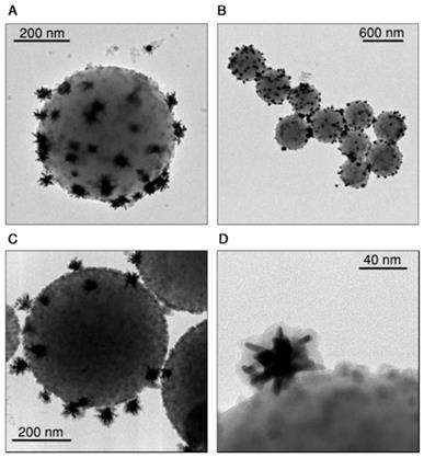 Theranostics Image