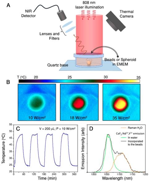 Theranostics Image