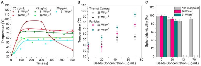 Theranostics Image