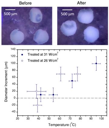 Theranostics Image