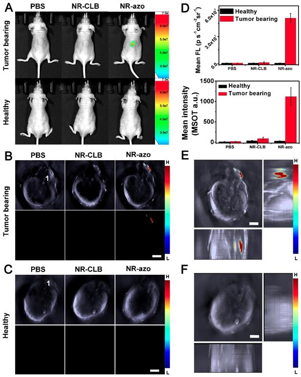 Theranostics Image