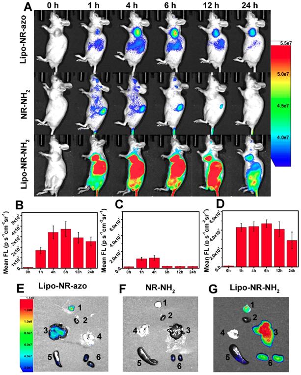 Theranostics Image