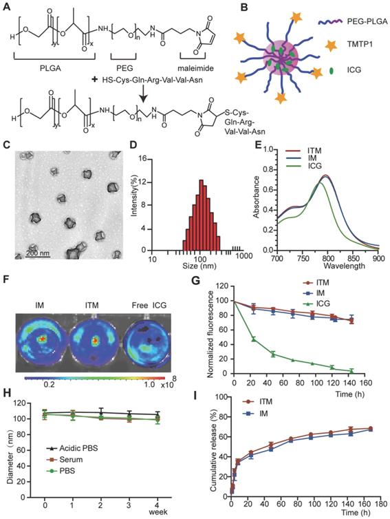 Theranostics Image