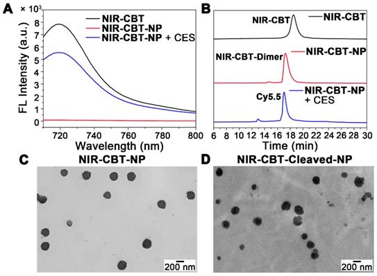 Theranostics Image