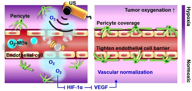 Theranostics Image