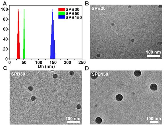 Theranostics Image