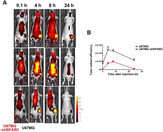 Theranostics Image