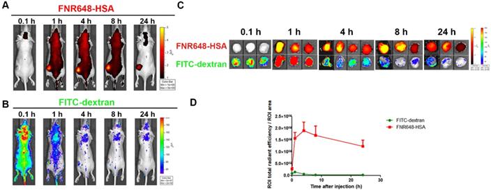 Theranostics Image