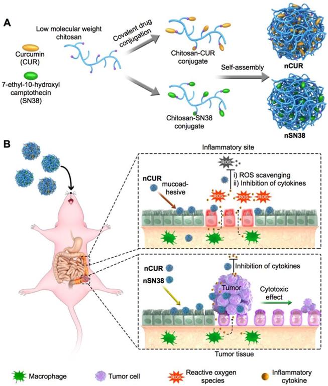 Theranostics Image