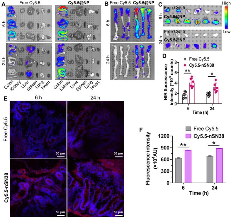 Theranostics Image