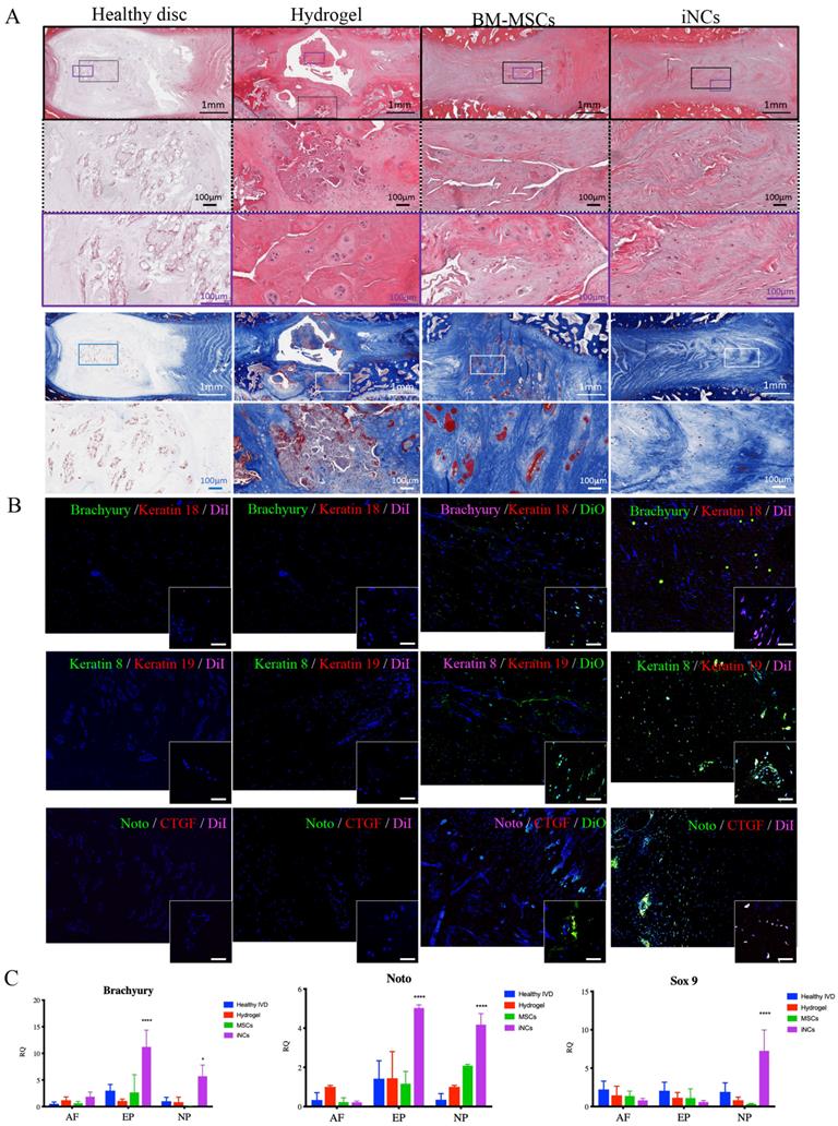 Theranostics Image