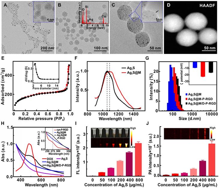 Theranostics Image