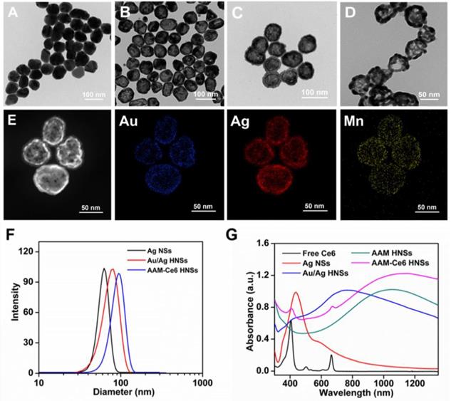 Theranostics Image