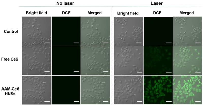 Theranostics Image