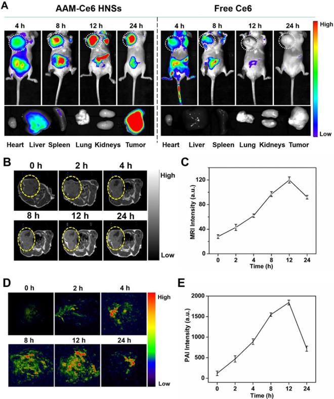 Theranostics Image