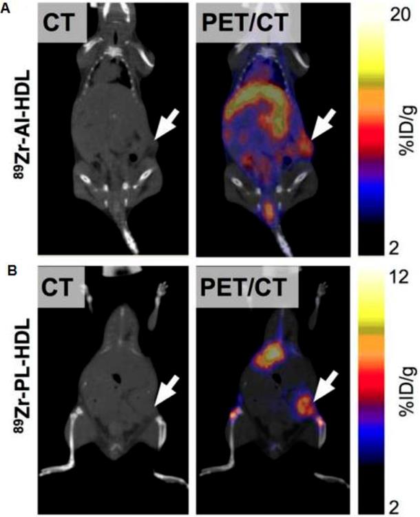 Theranostics Image