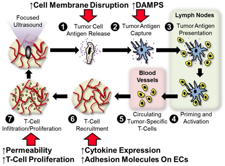 Theranostics Image