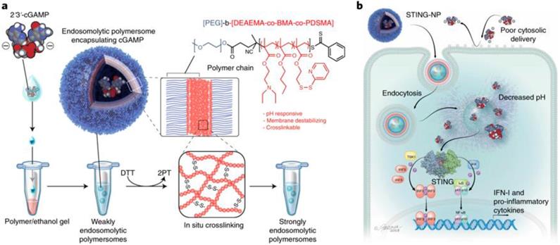 Theranostics Image