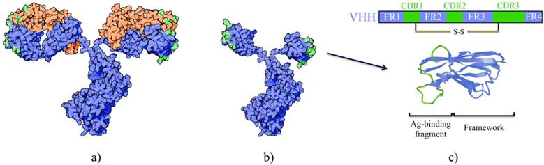 Theranostics Image