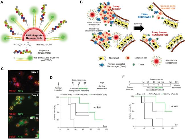 Theranostics Image