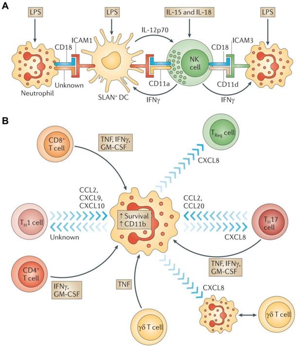 Theranostics Image