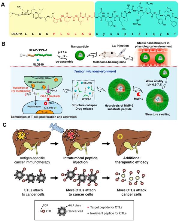 Theranostics Image