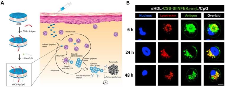 Theranostics Image